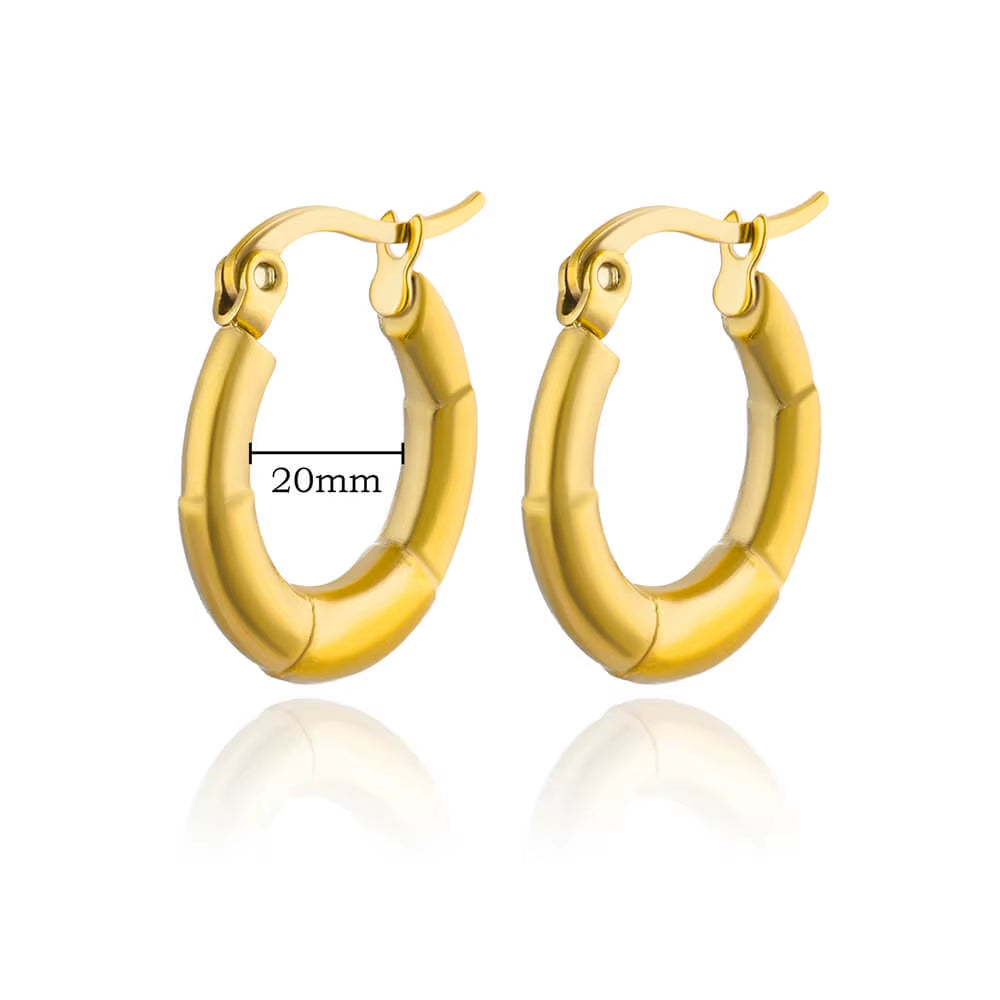 Gold Plated Chunky Earrings for Women 2024 Trending Stainless Steel Hoop Earrings New in Waterproof Piercing Ear Jewelry Aretes