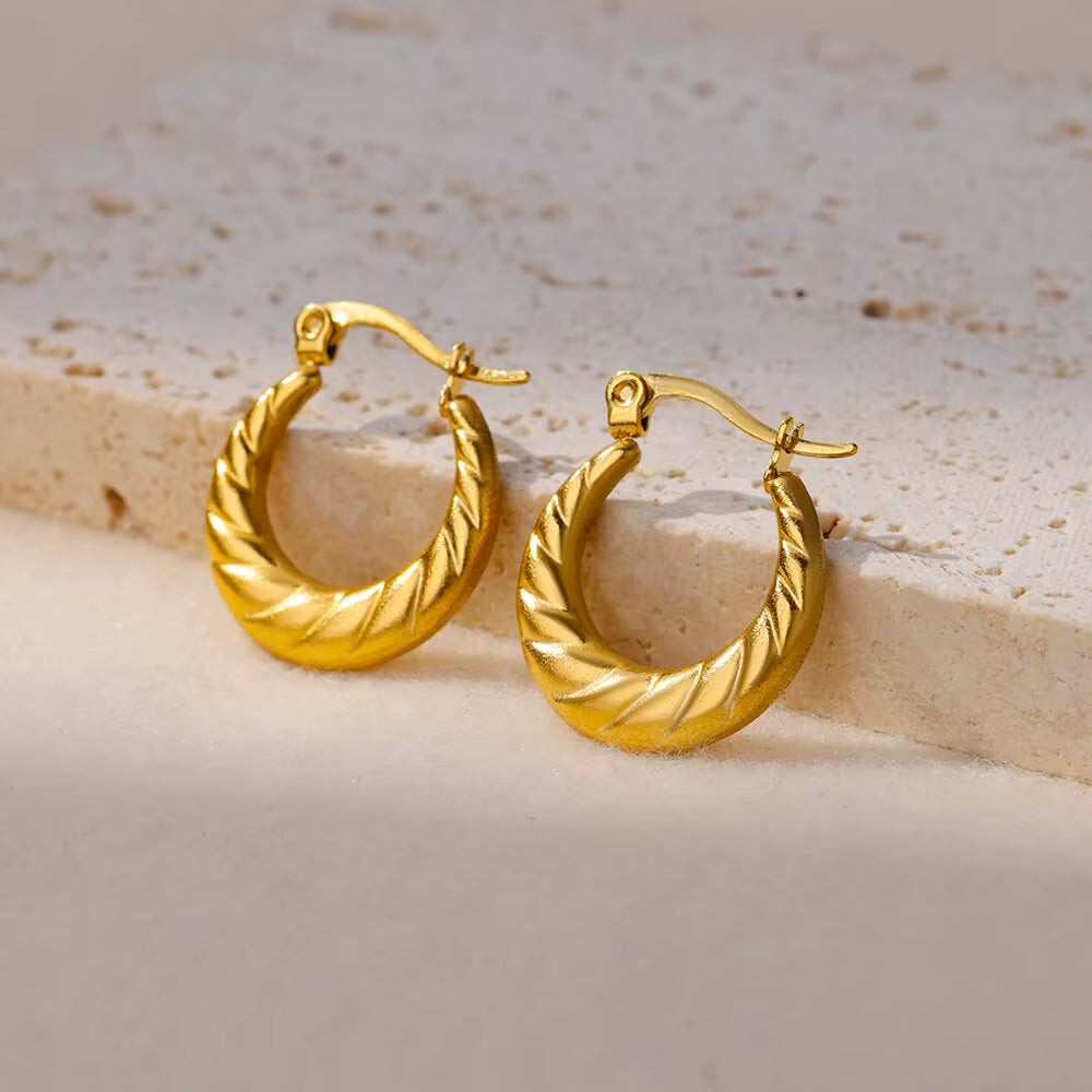 Gold Plated Chunky Earrings for Women 2024 Trending Stainless Steel Hoop Earrings New in Waterproof Piercing Ear Jewelry Aretes