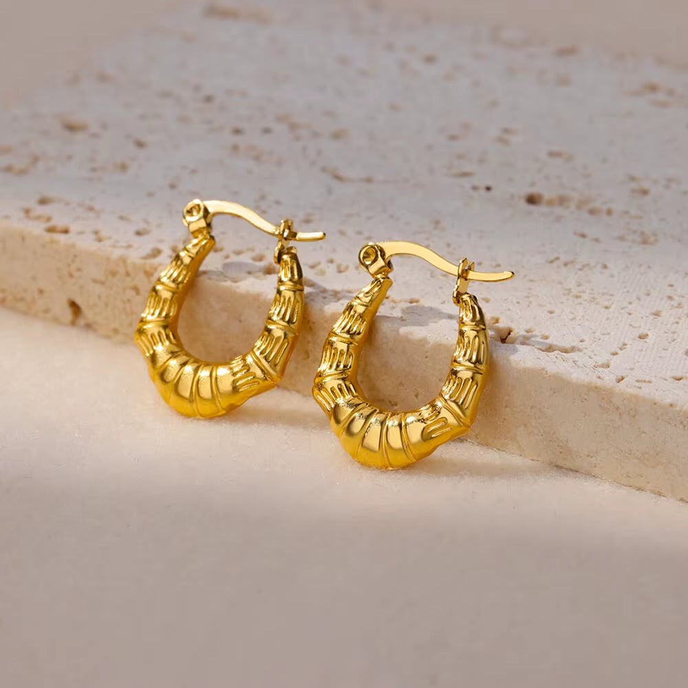 Gold Plated Chunky Earrings for Women 2024 Trending Stainless Steel Hoop Earrings New in Waterproof Piercing Ear Jewelry Aretes